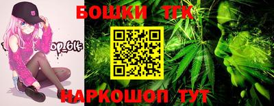 индика Беслан