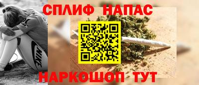 индика Беслан