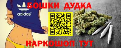 индика Беслан