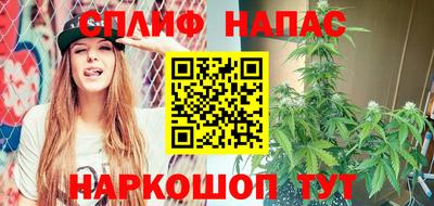 индика Беслан