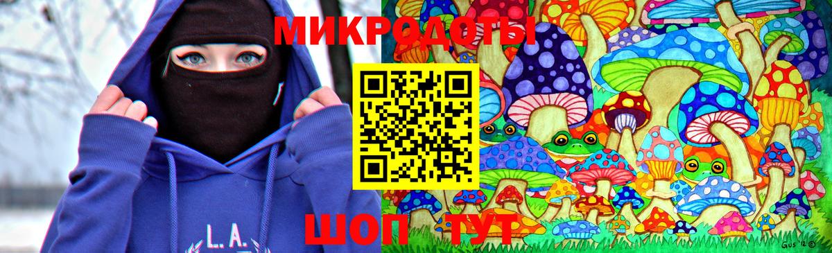 Галлюциногенные грибы мухоморы Карачаевск