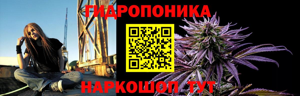Бошки марихуана Bruce Banner Карачаевск